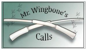 Wingbones