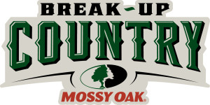 Break Up Country Logo color